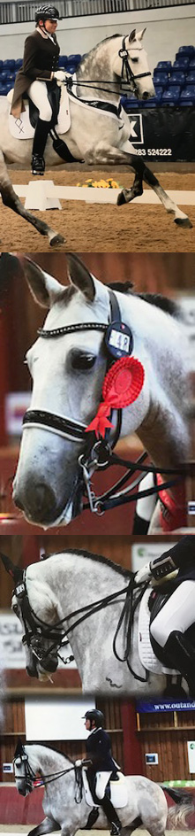 Tidmarsh Stud Training