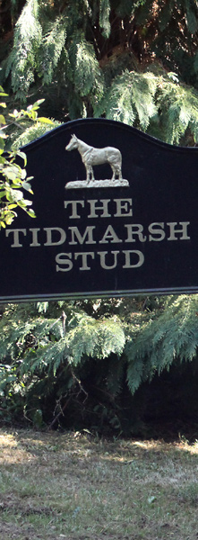 Tidmarsh Stud